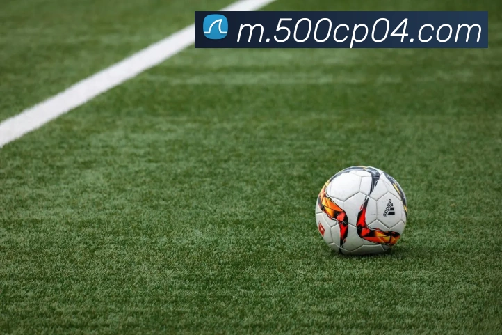 500彩票网全站App 500彩票网全站App